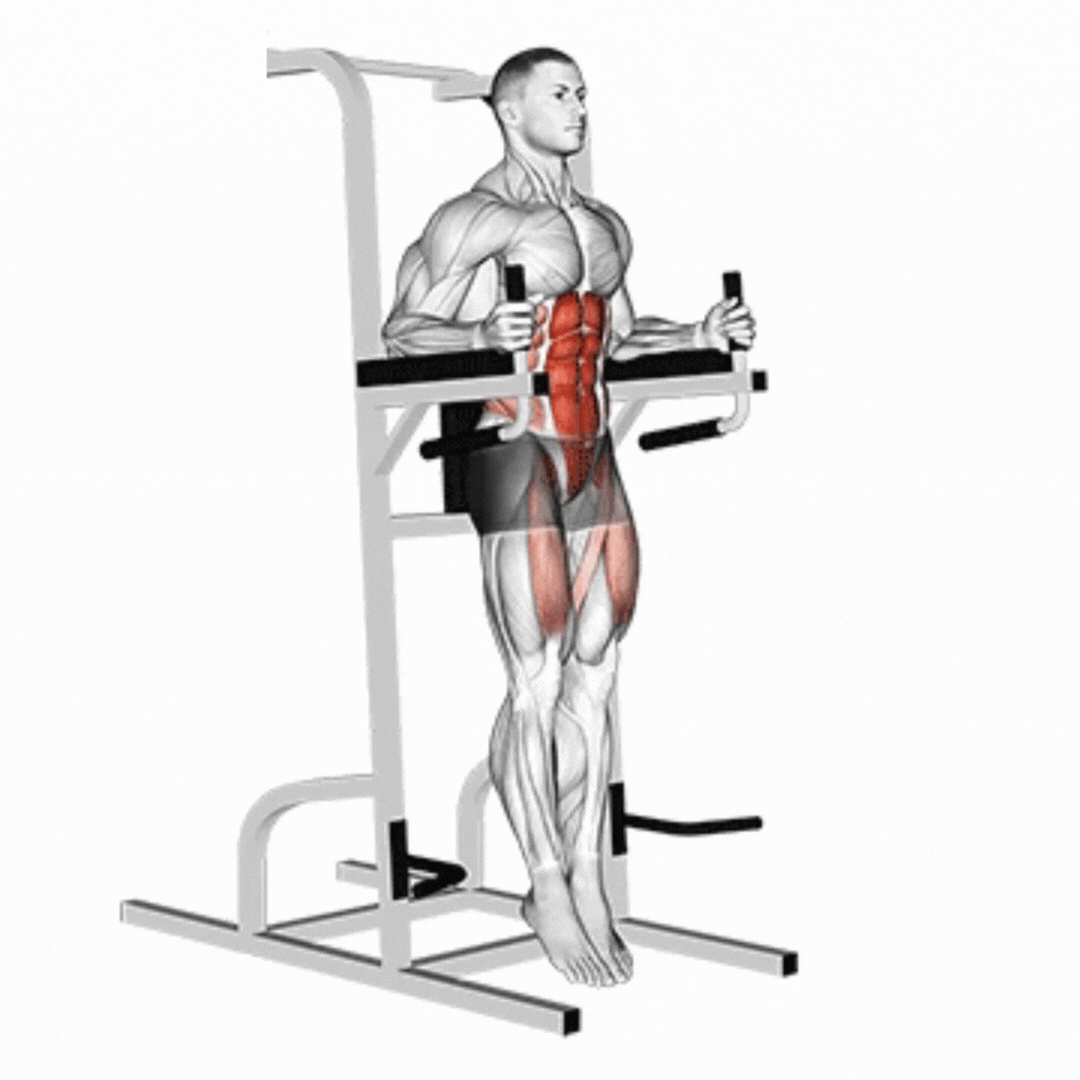 trainning Machines de Musculation