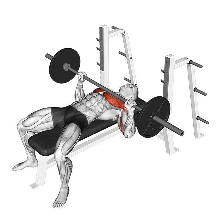 trainning Machines de Musculation