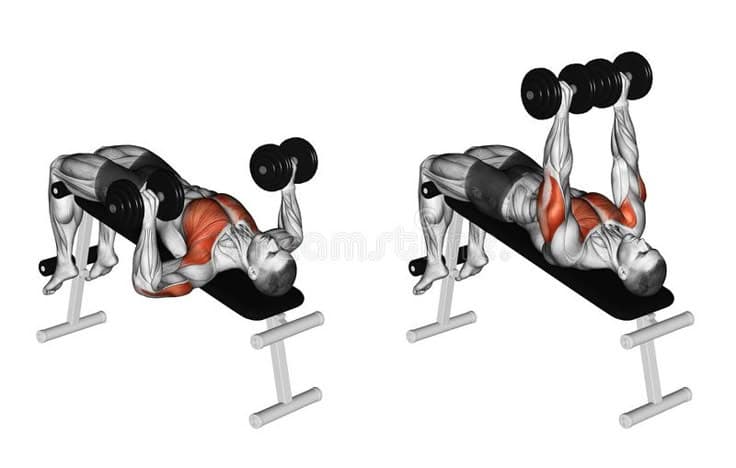 Transformation physique avec banc de musculation