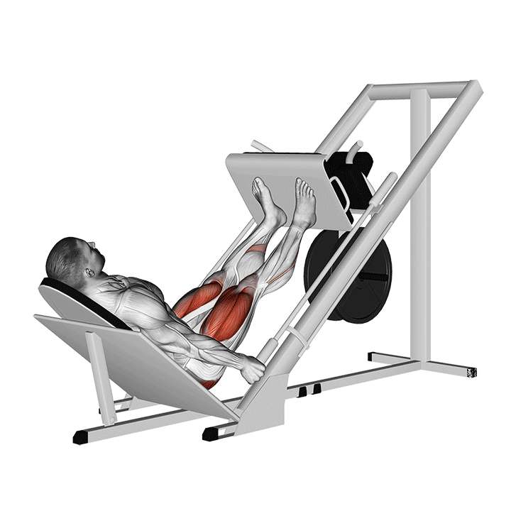 trainning Machines de Musculation
