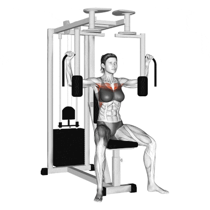 trainning Machines de Musculation