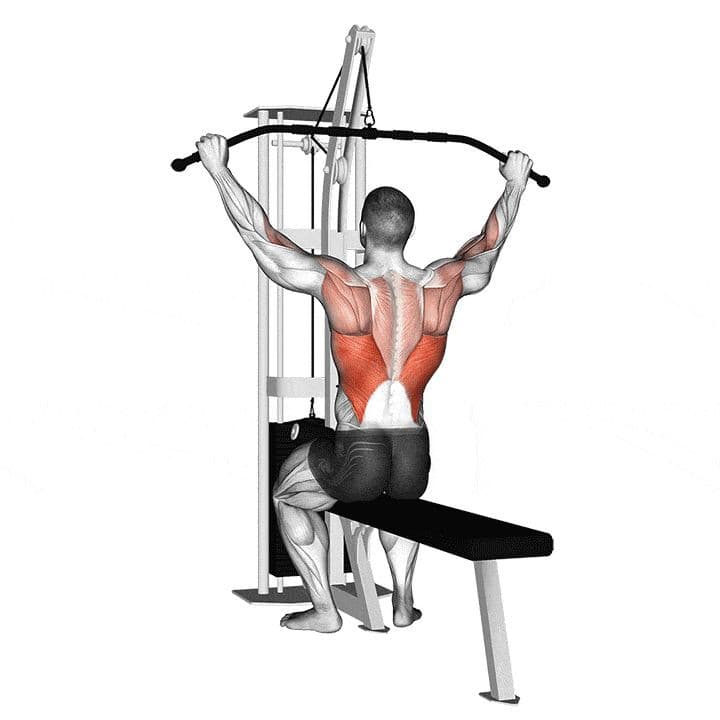  Machines de Musculation